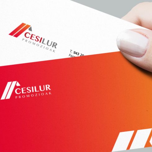 Tarjetas visita Cesilur