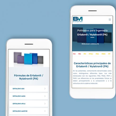 Desarrollo de sitios web para empresas